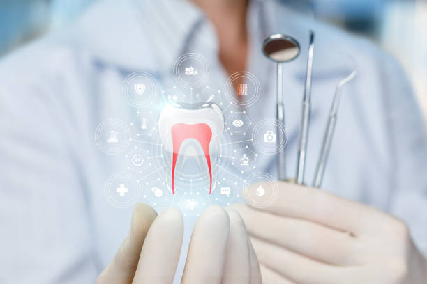 Best Preventive Dentistry  in Quincy, IL